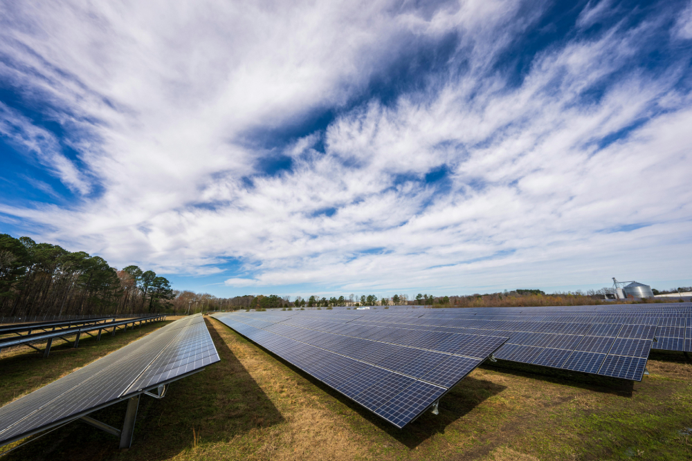 Placas solares